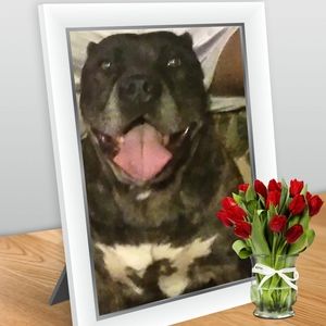 Meet your Posher, Christy